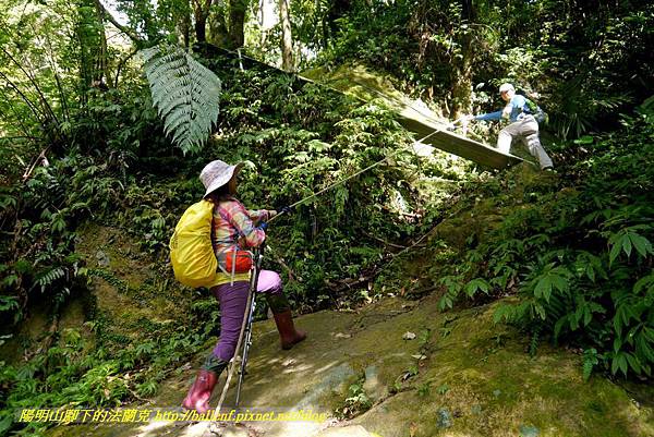 P1880804.jpg P1880804.jpg