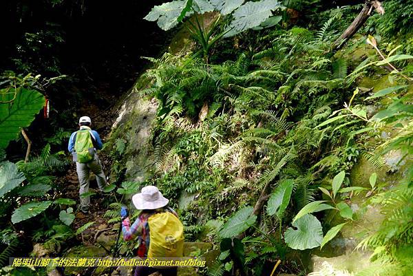 P1880807.jpg P1880807.jpg