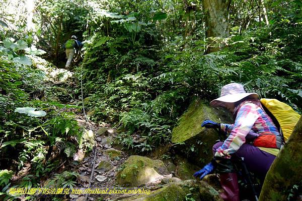 P1880814.jpg P1880814.jpg