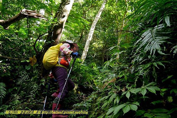 P1880815.jpg P1880815.jpg