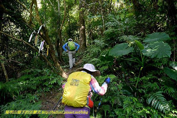 P1880817.jpg P1880817.jpg