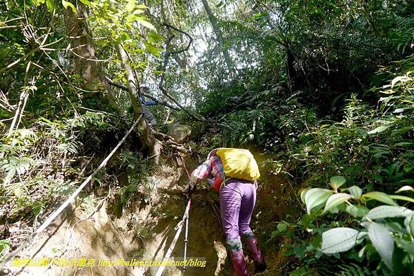 P1880826.jpg P1880826.jpg