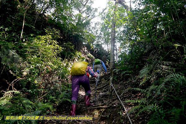 P1880829.jpg P1880829.jpg