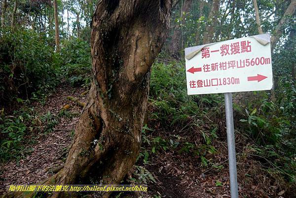 P1880831.jpg P1880831.jpg