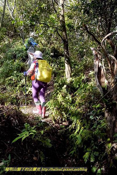 P1880836.jpg P1880836.jpg