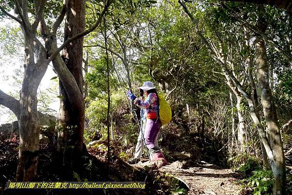 P1880840.jpg P1880840.jpg