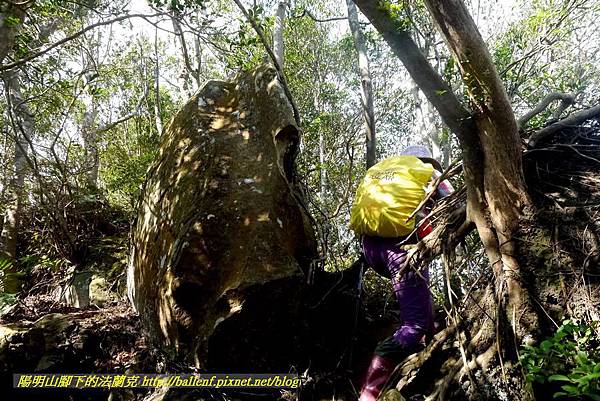 P1880842.jpg P1880842.jpg