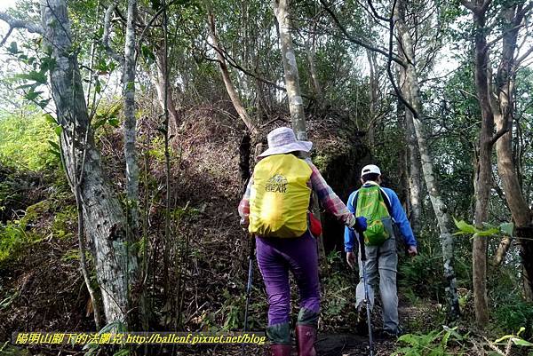 P1880846.jpg P1880846.jpg