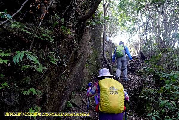 P1880847.jpg P1880847.jpg