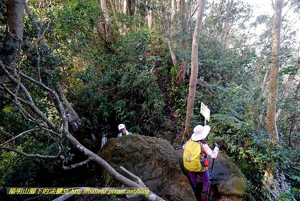 P1880888.jpg P1880888.jpg