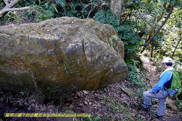 P1880891.jpg P1880891.jpg