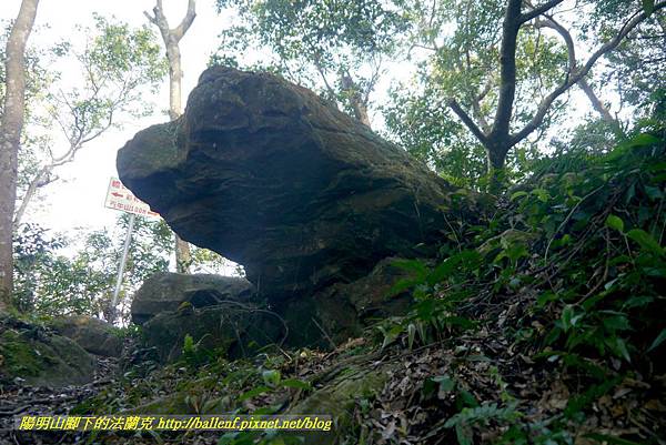 P1880893.jpg P1880893.jpg