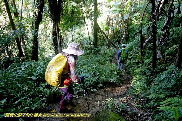 P1880897.jpg P1880897.jpg