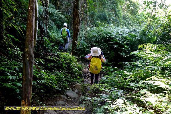 P1880900.jpg P1880900.jpg