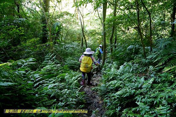 P1880902.jpg P1880902.jpg