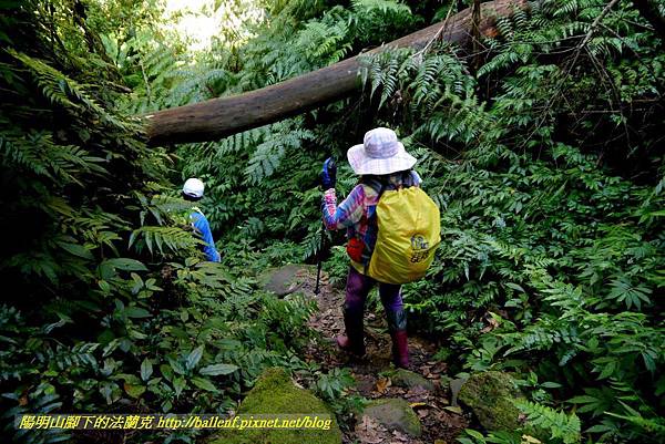 P1880905.jpg P1880905.jpg