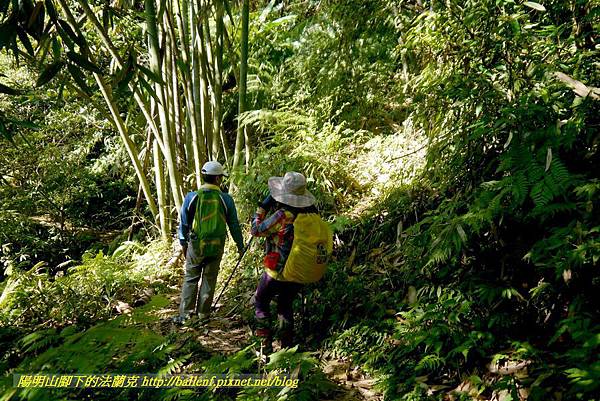 P1880909.jpg P1880909.jpg