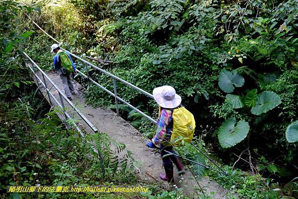 P1880917.jpg P1880917.jpg