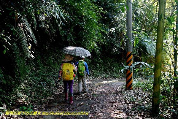 P1880928.jpg P1880928.jpg