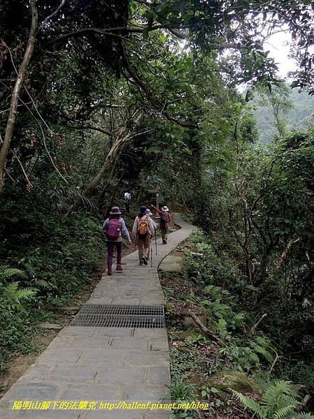 DSCN3789.jpg DSCN3789.jpg