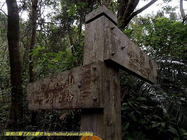 DSCN3791.jpg DSCN3791.jpg