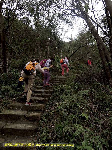 DSCN3814.jpg DSCN3814.jpg