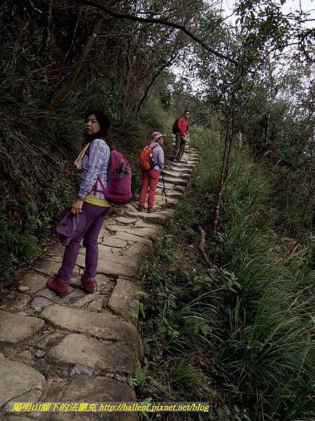 DSCN3816.jpg DSCN3816.jpg