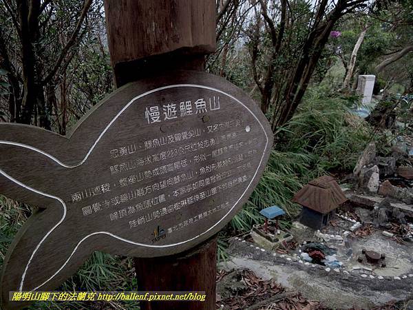 DSCN3859.jpg DSCN3859.jpg