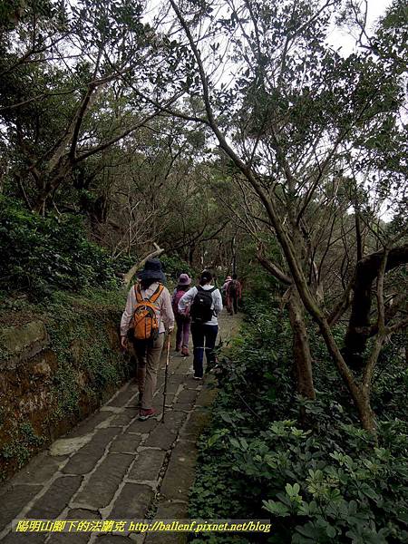 DSCN3915.jpg DSCN3915.jpg