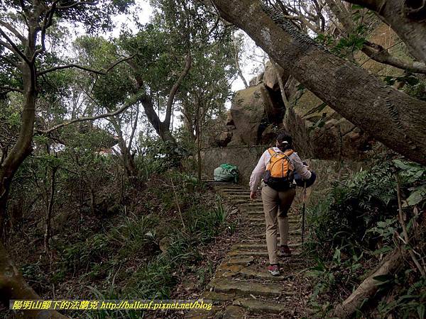 DSCN3923.jpg DSCN3923.jpg