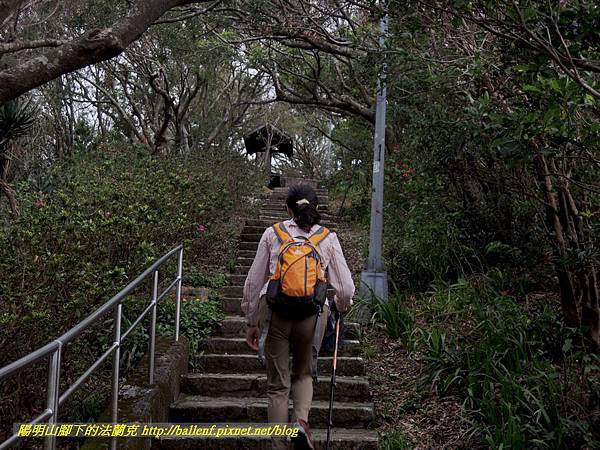 DSCN3938.jpg DSCN3938.jpg