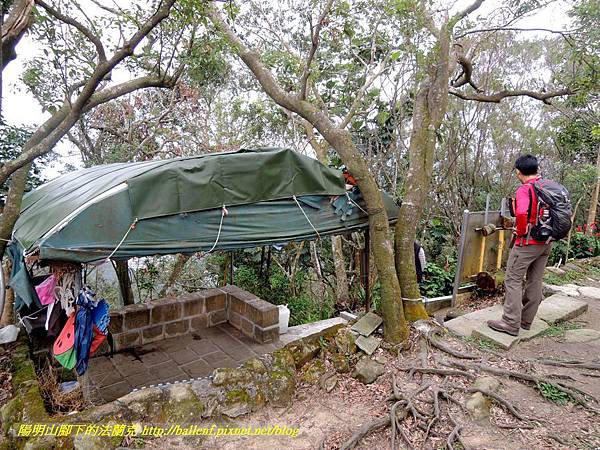 DSCN3941.jpg DSCN3941.jpg