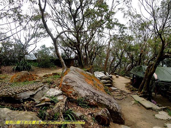 DSCN3947.jpg DSCN3947.jpg