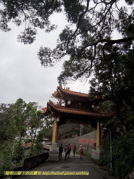 DSCN3995.jpg DSCN3995.jpg