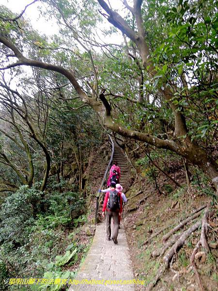 DSCN4002.jpg DSCN4002.jpg