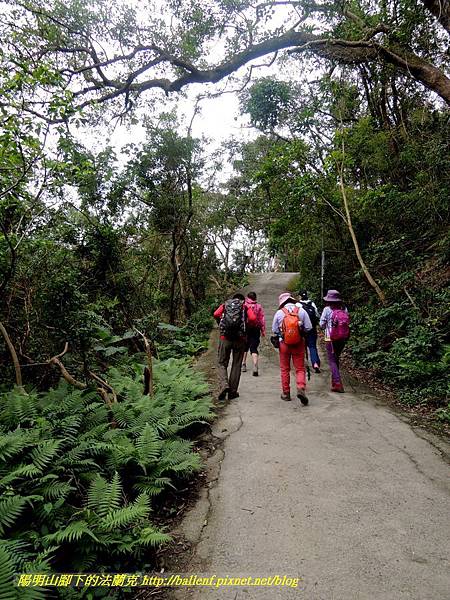 DSCN4096.jpg DSCN4096.jpg