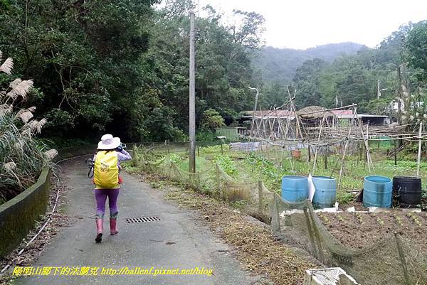 P1890263.jpg P1890263.jpg