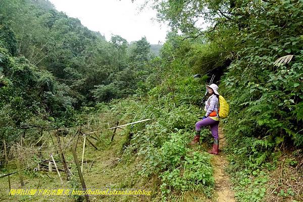 P1890267.jpg P1890267.jpg