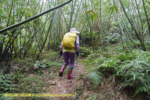 P1890279.jpg P1890279.jpg