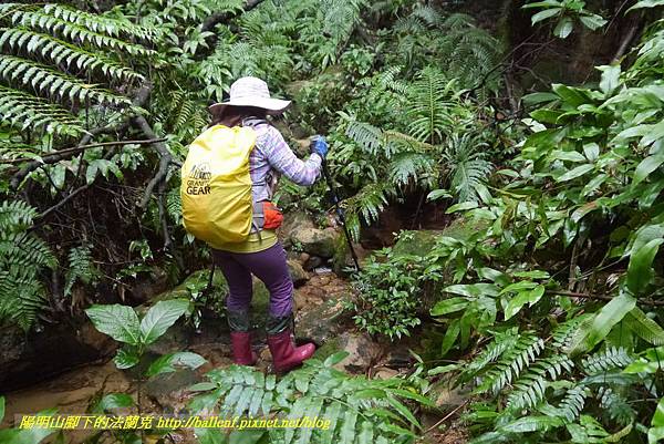 P1890284.jpg P1890284.jpg