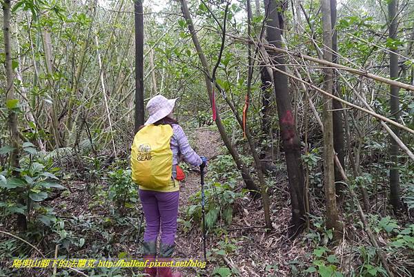 P1890288.jpg P1890288.jpg