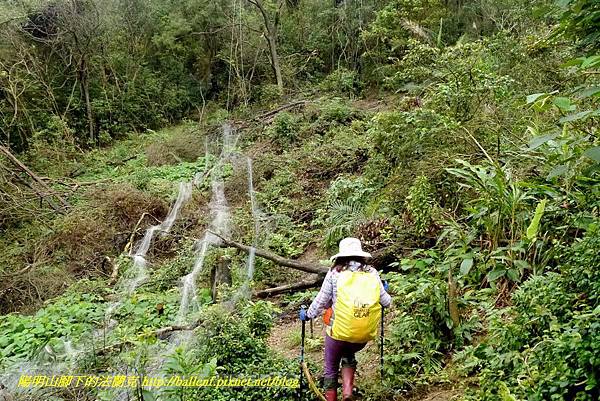 P1890297.jpg P1890297.jpg