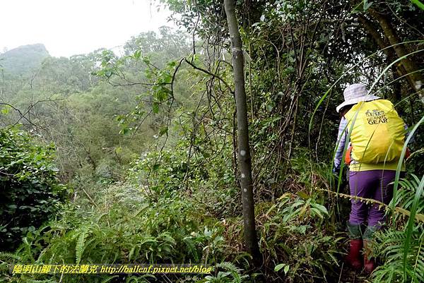 P1890307.jpg P1890307.jpg