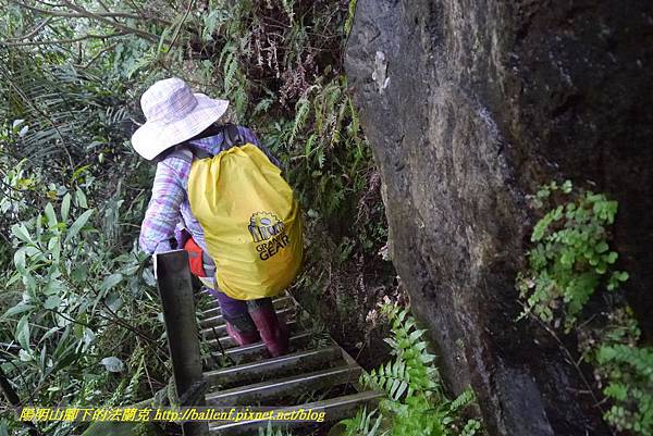 P1890309.jpg P1890309.jpg