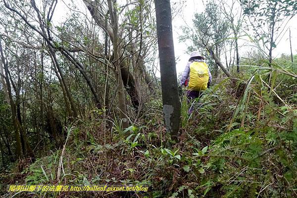 P1890312.jpg P1890312.jpg