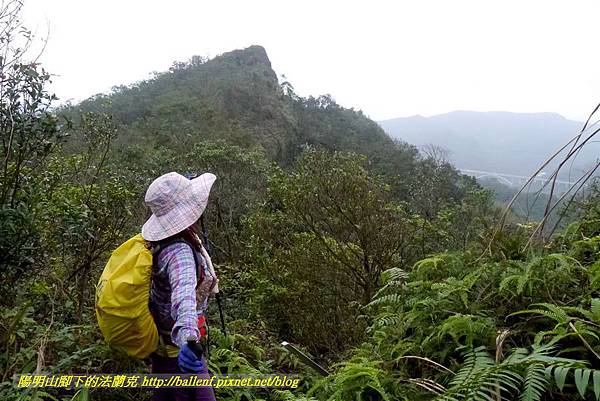 P1890313.jpg P1890313.jpg