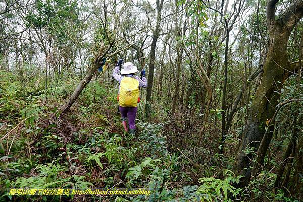 P1890346.jpg P1890346.jpg