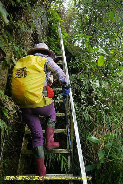 P1890348.jpg P1890348.jpg