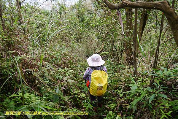 P1890352.jpg P1890352.jpg