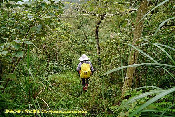 P1890354.jpg P1890354.jpg